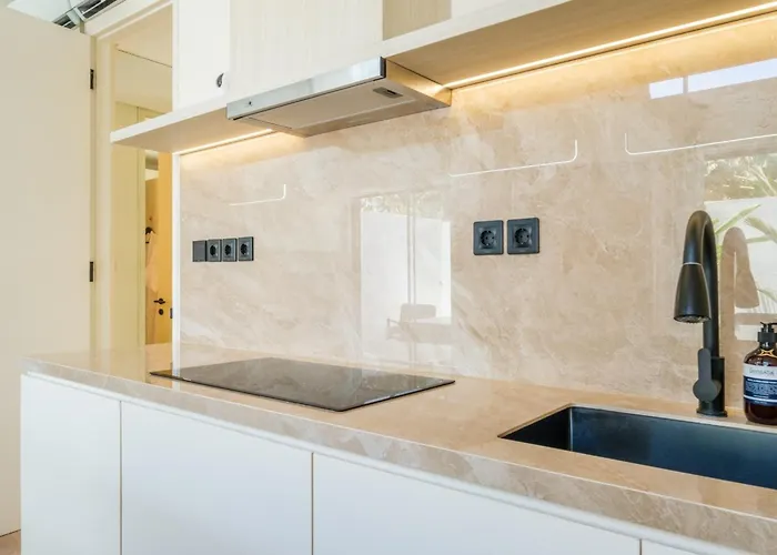 فيلة Oasis Smart 3 *